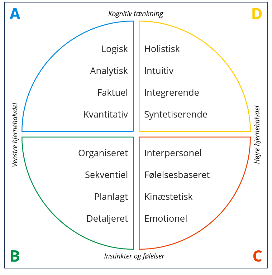 Whole Brain Model, Ned Herrmann
